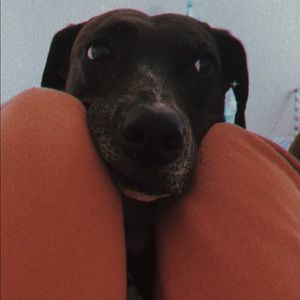 Meet your Posher, Mackenzie